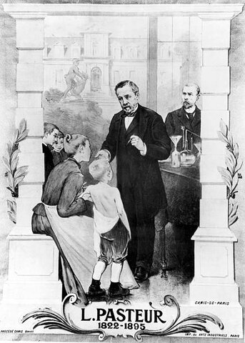 Pasteur Created a Rabies Vaccine