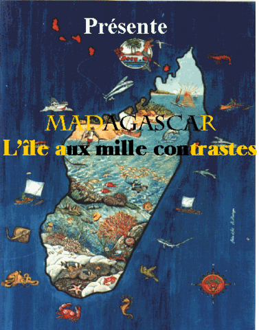 Madagascar l'île aux mills contrastes