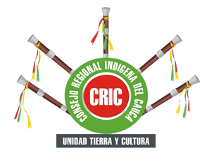 consejo indígena