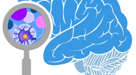 Timeline: Historia de la Neurociencia