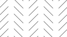 Timeline: History of Education Timeline