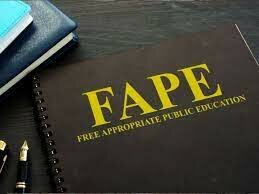 FAPE Case