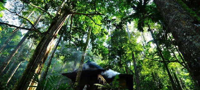 Foro de bosques de Naciones Unidas