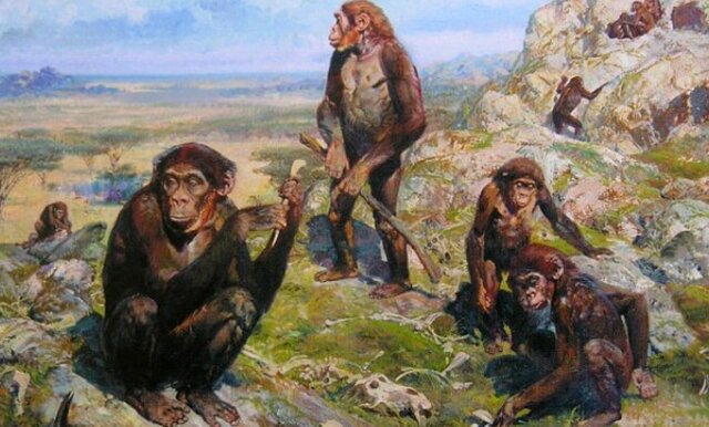 Aparició dels primers homínids