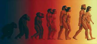 Aparició dels éssers humans