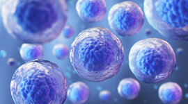 Timeline: DESCOBRIMENTS BIOLÒGICS