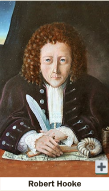 Descobriment de la cel·lula