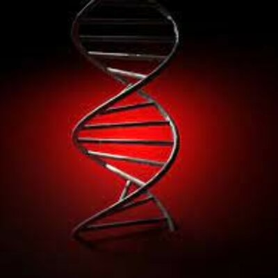 Timeline: DESCOBRIMENTS BIOLÒGICS