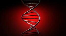 Timeline: DESCOBRIMENTS BIOLÒGICS