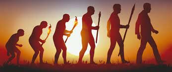 TEORIA DE L'EVOLUCIÓ (Darwin)