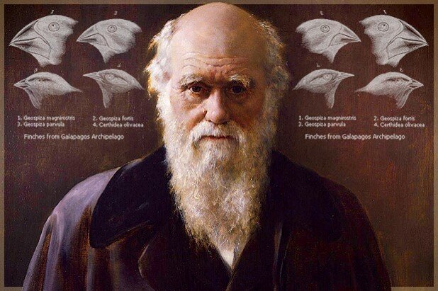 TEORIA DE L'EVOLUCIÓ (Darwin)