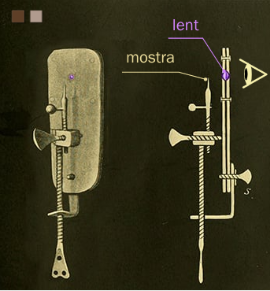 Primer avistament de èssers unicel·lulars