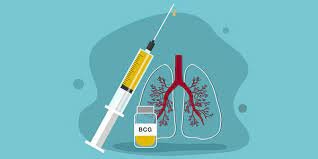 Bacilo de la tuboculosis