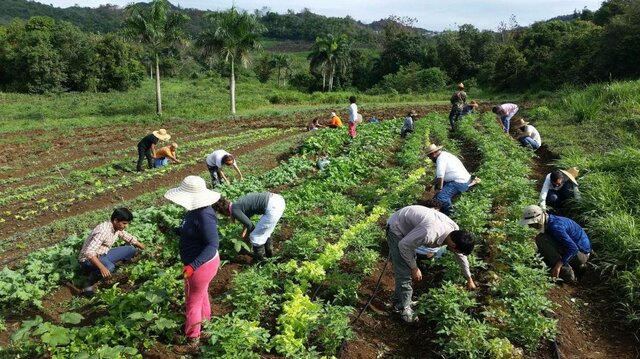 Defensa de la alimentación y agricultura