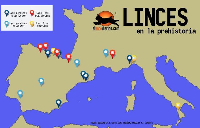 EL LINCE IBÉRICO EN LA PENÍNSULA