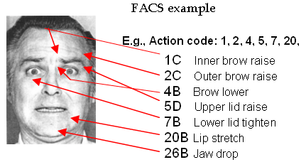 Facial Action Coding System