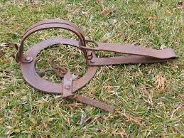 SE CREAN LAS JUNTAS PROVINCIALES DE EXTINCIÓN DE ANIMALES DAÑINOS Y PROTECCIÓN A LA CAZA