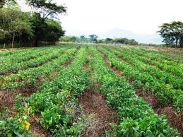 Agricultural revolution