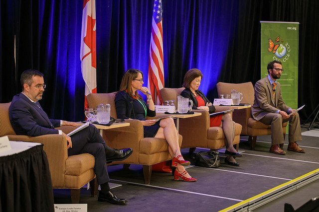 Council for Exceptional Children