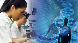 Timeline: "Historia de la bioingeniería"