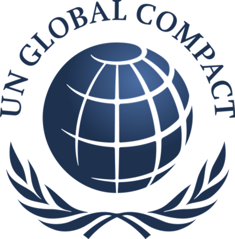 Proposición del pacto en la ONU