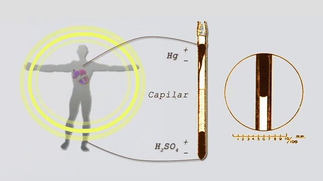 Señales electrofisiológicas.