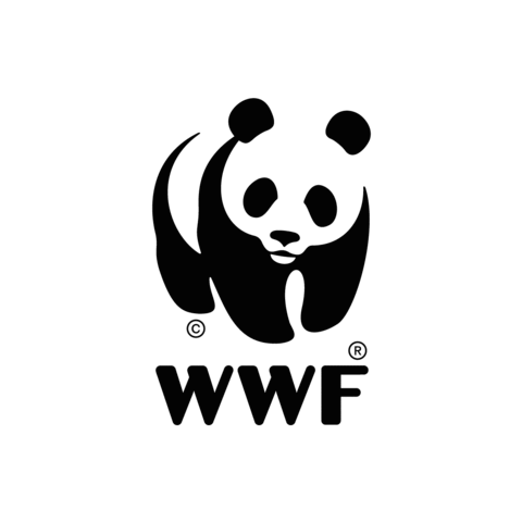 FUNDACIÓN DE LA AMNISTÍA INTERNACIONAL Y WOLD  WILDLIFE FUND