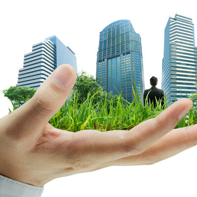 Timeline: Responsabilidad Social