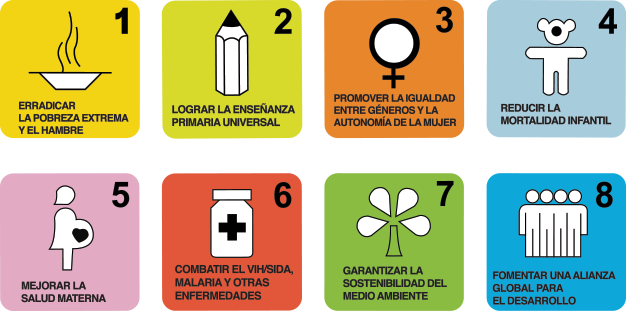 CREACIÓN DE "METAS DEL MILENIO"