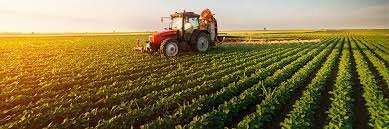 Descoberta de l'Agricultura