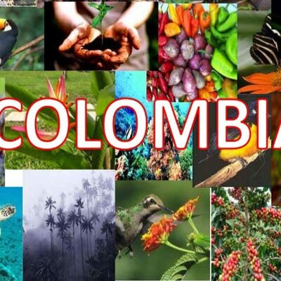 Timeline: EXPERIENCIAS NÓMADAS TERRITORIALES