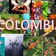 Colombia territorial
