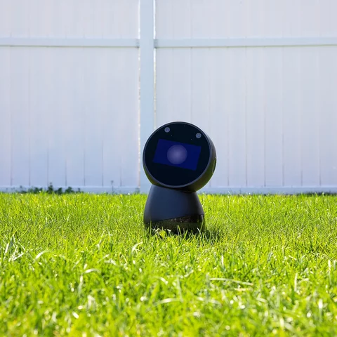 Jibo