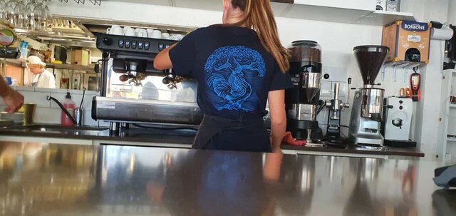 prima volta nel mondo del lavoro