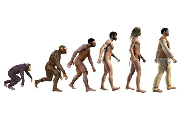 APARICIÓN DE LOS PRIMEROS HOMÍNIDOS