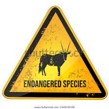 Peligro de extinción