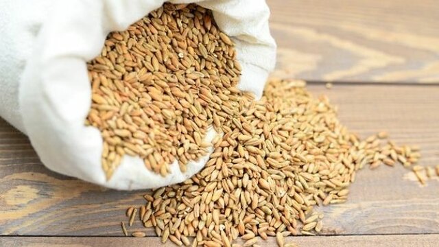 REGOLAMENTO CE 183/2005