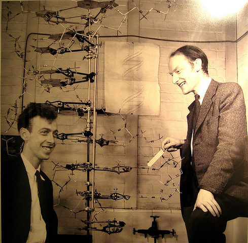 James Watson and Francis Crick