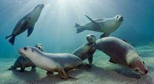 Los peores años de la especie