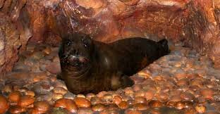 Primera ley de conservación