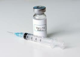 Bacuna contra la rabia