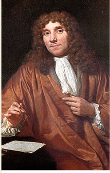 Éssers unicel·lulars