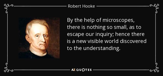 Hooke first penned what came to be known as cell theory- the idea that all living things are composed of cells