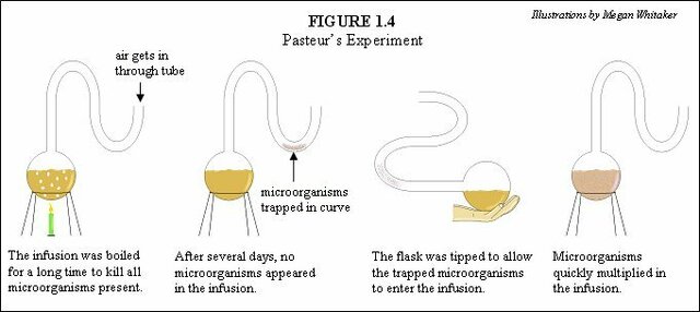 Pasteur discovered that by boiling a liquid and then sealing it, you can prevent bacterial growth.