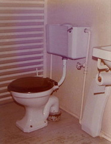 Flush Toilet