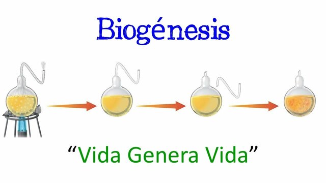 Teoria de la Biogènesis