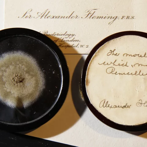 Alexander Fleming accidentally discovered penicillin.