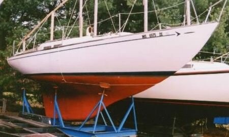 𝕼𝖚𝖎𝖑𝖑𝖆