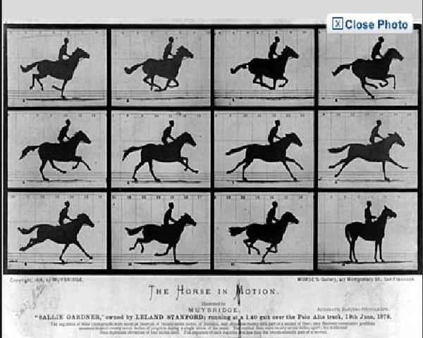 The Fiest Action Photos