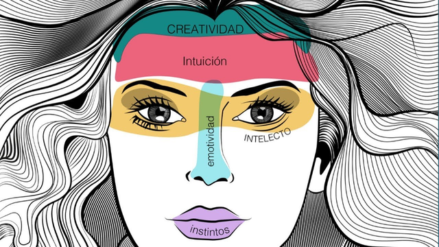 Teoria de expresiones faciales